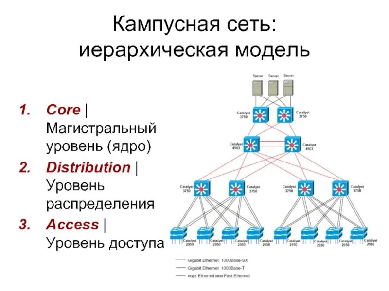 Модель информационной сети. Иерархическую модель сети в Циско. Двухуровневая модель сети Cisco. Трехуровневая иерархическая модель сети. Трехуровневая модель сети Cisco.