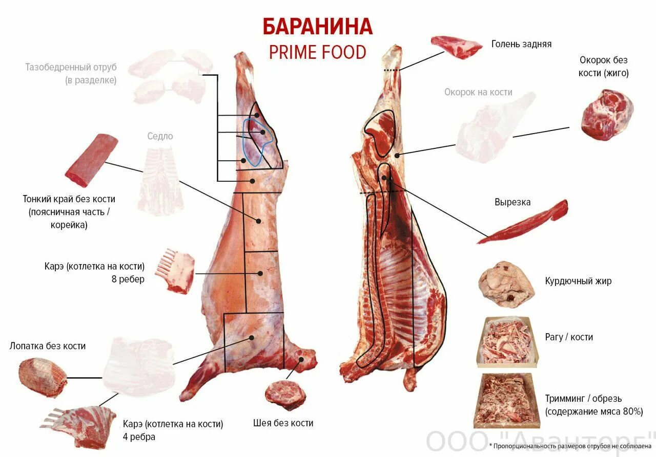 Сколько костей в свинине. Схема разделки мяса баранины. Схема разделки туши баранины. Схема кулинарной разделки туши баранины. Схема разруба туши барана.