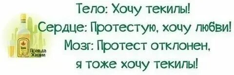 Песня можно терпеть силу пить текилу
