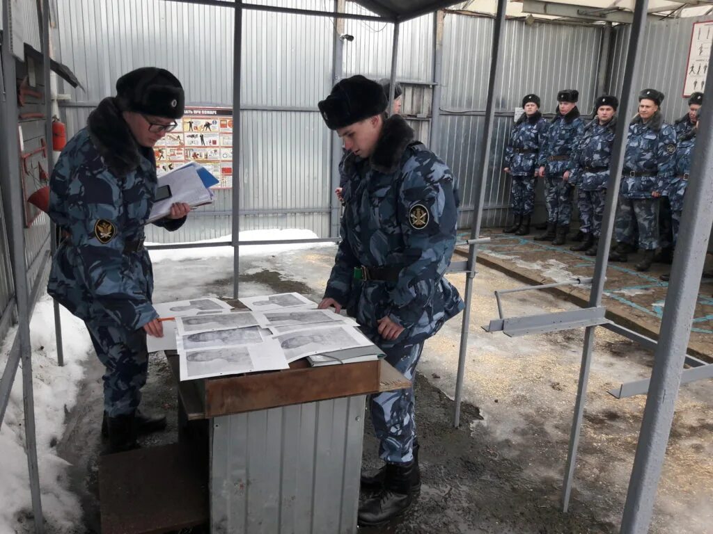 Сизо 2 москва заключенные. Сизо, кпз, ивс. Сизо 1 новосибирск. Республика карелия фку ик 1. Медицинская службы уис фсин.