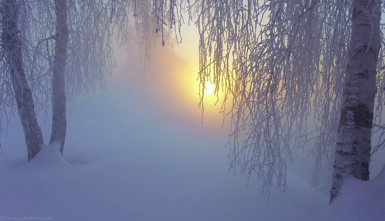 Февральский пейзаж. Метель. Февральская метель. Снежная метель. Луч пурга