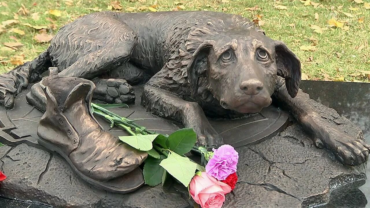 Памятник бездомным животным. Памятник бродячей собаке в парке музеон в москве. памятник бездомной собаке в москве музеон. памятник бездомным животным музеон. парк музеон в москве памятник собаке.