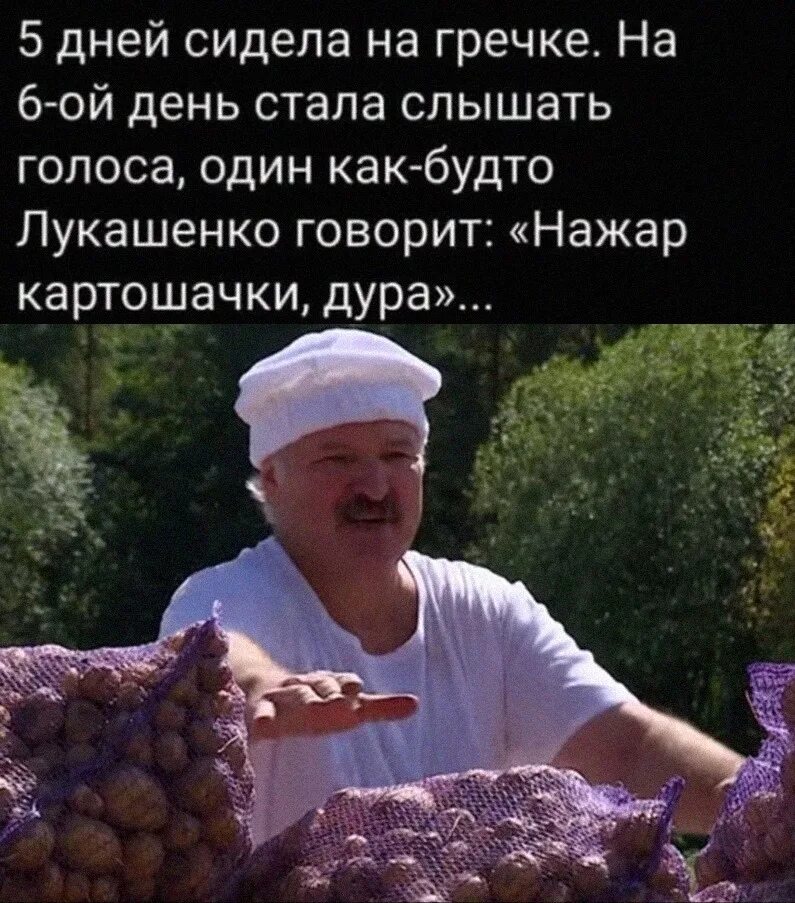Стало слышно как