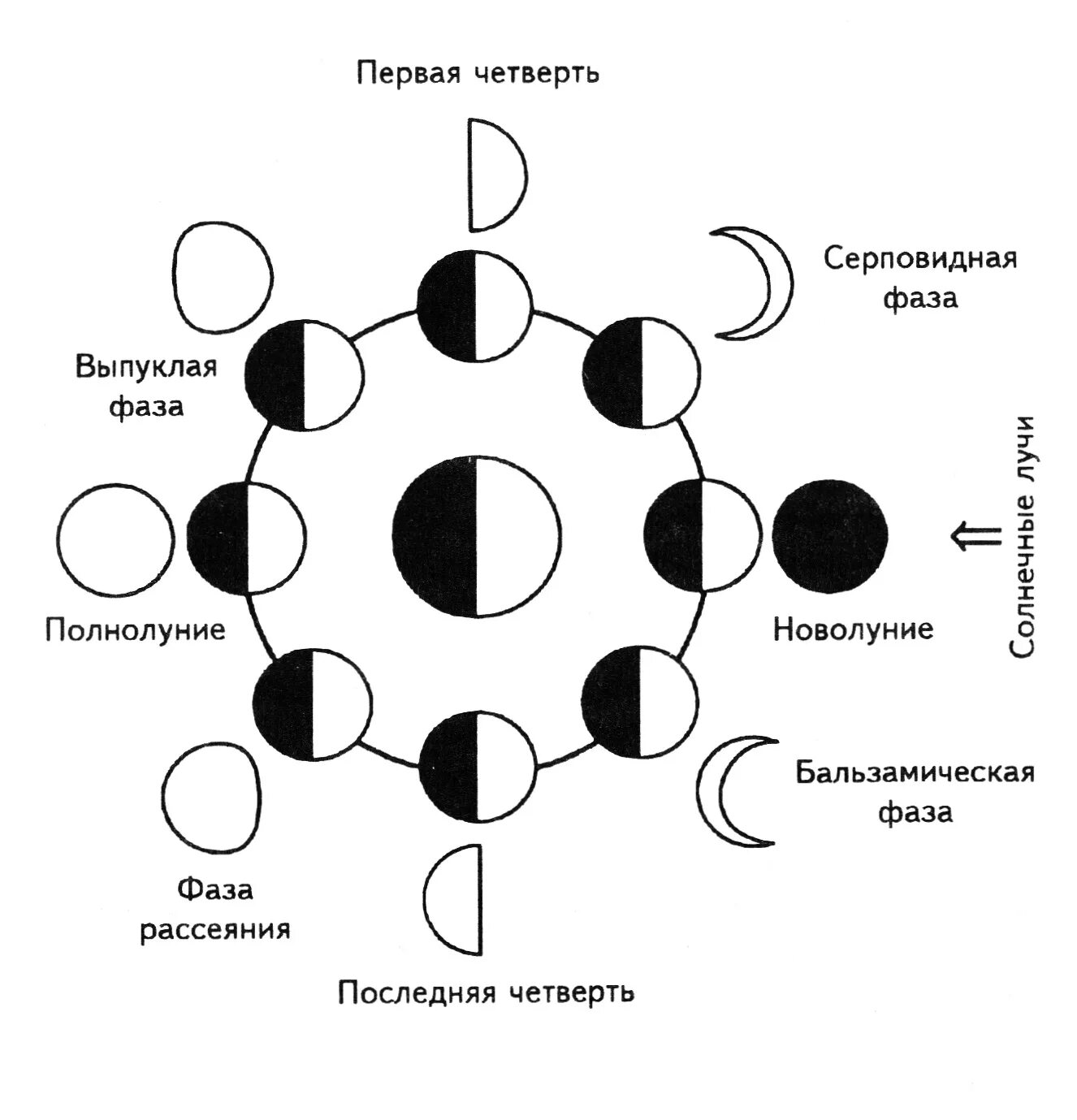 Что такое фазы Луны нарисуйте схему. Схема смены фаз Луны. Фазы Луны схема фаз. Схема изменения фаз Луны.