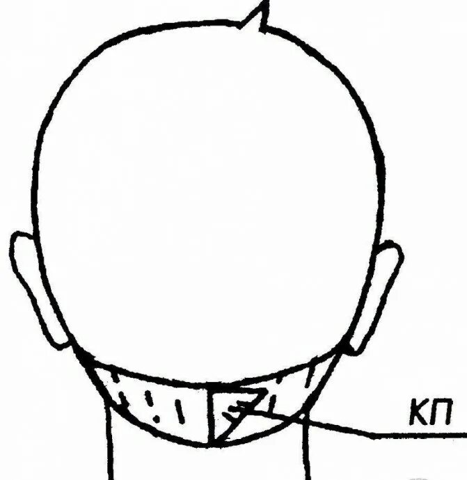 Затылок что означает. Стрижка нижней затылочной зоны. Схема головы для стрижки. Шаблон головы для стрижки.