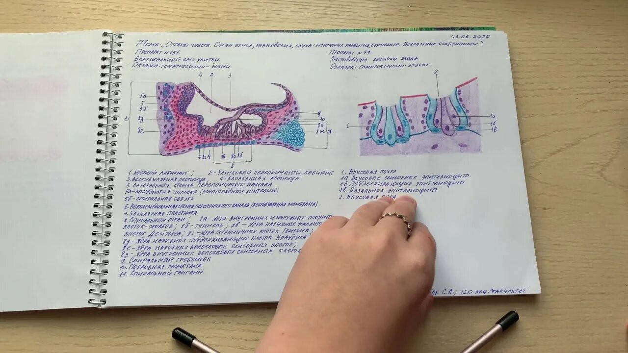 Тетрадь гистология. Рабочая тетрадь для практических занятий по частной гистологии рниму. Альбом по гистологии. Гистология надпись. Тетрадь гистология.