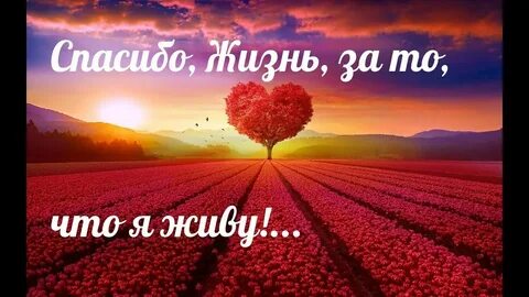 Мне очень нравится жить песня