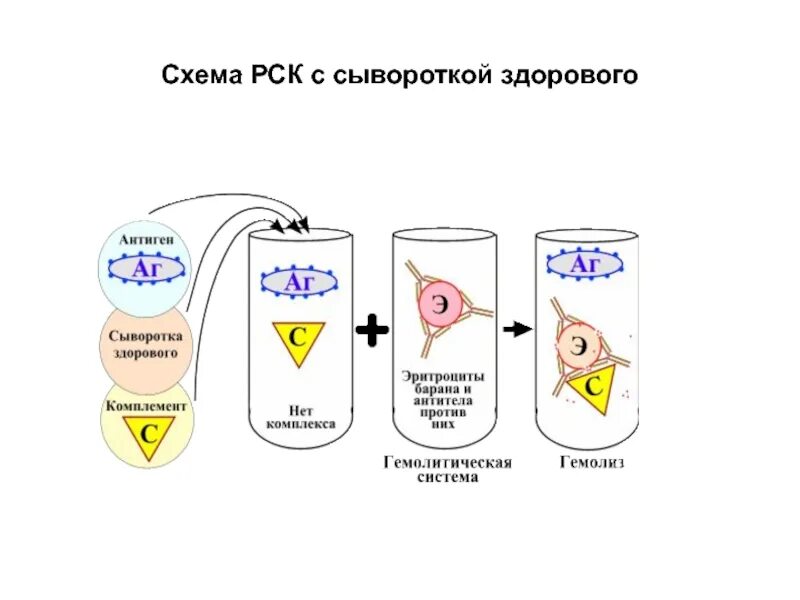 Комплемента рск. Реакция связывания комплемента схема. Реакция связывания комплемента РСК микробиология. РСК схема реакции. Схема реакции связывания комплемента (РСК).