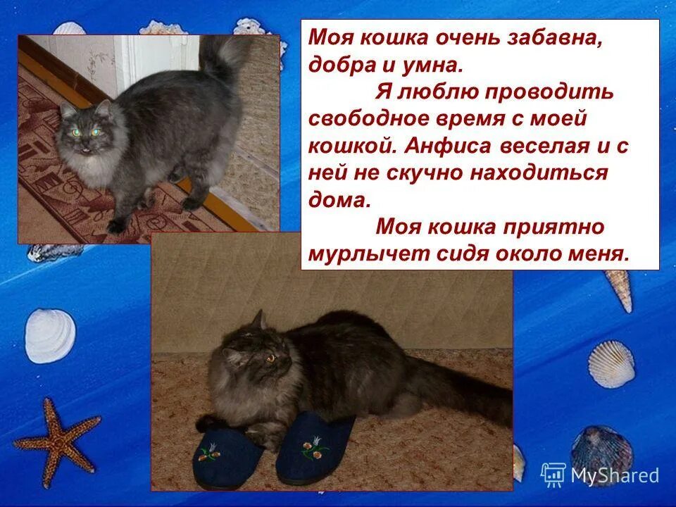 рассказ о домашних кошках. рассказ о домашних животных. рассказ о домашних питомцах. сочинение моё любимое животное. сочинение про кошку.