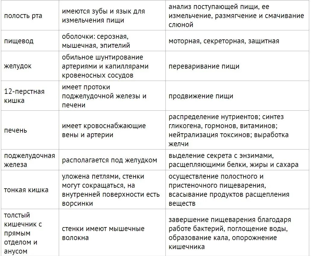 Системы человека таблица. Таблица по биологии строение и функции пищеварительной системы. Пищеварительная система таблица название органа строение и функции. Система органов пищеварения таблица 8 класс. Название органа строение функции органы пищеварения.