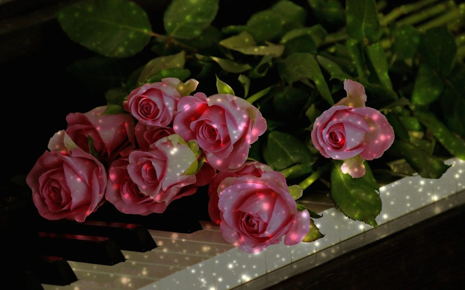 Замечательная мелодия. Очень красивые цветы. Мерцающие цветы. Чудесные цветы. Роскошные розы.