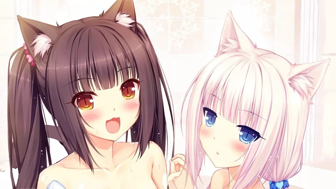 Запись приватов neko
