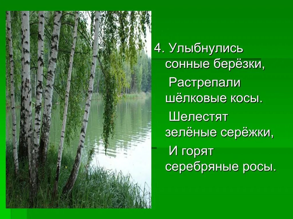 Растрепали разбор. УЛЫБНУЛИСЬ сонные Березки растрепали шелковые косы. Улыбнись сонные Березки растрепали шелковые косы шелестят зеленые. УЛЫБНУЛИСЬ сонные Березки. УЛЫБНУЛИСЬ сонные Бережки.