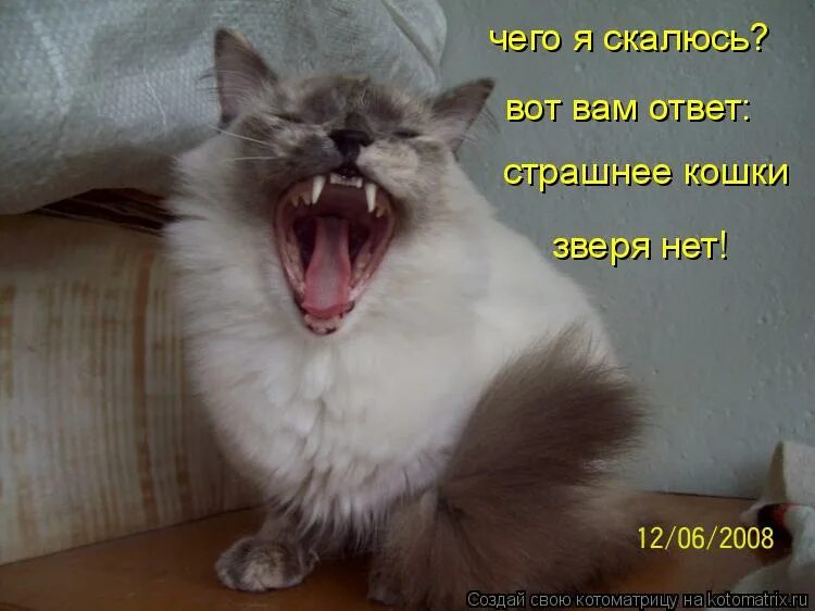 Страшные смешные истории. Заявление путина по подрыву крымского моста. Ответить ужасную. Ответить ужасную. Ответить ужасную.
