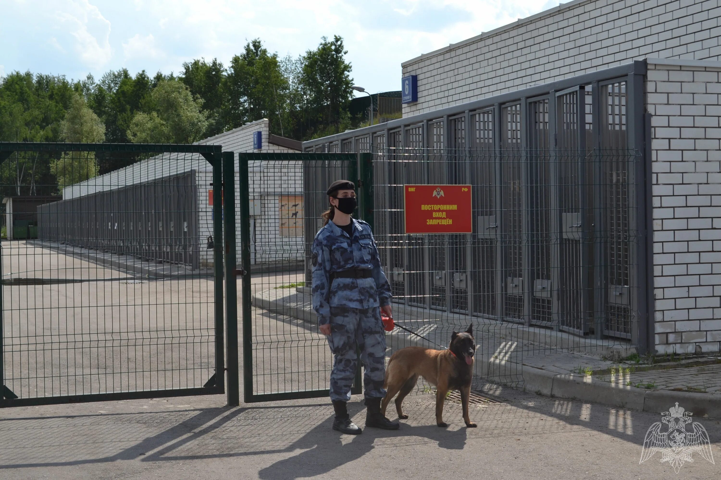 ОМОН Строгино кинологи. Бельгийская овчарка ОМОН. Кинологи Росгвардии в Москве. Кинологическая служба ОМОН. Московских кинолог