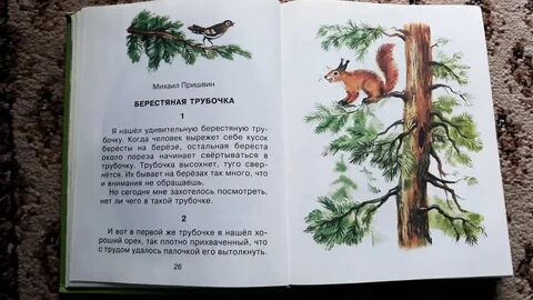 Берестяная трубочка пришвин главная мысль