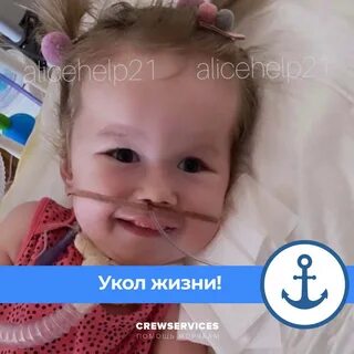 Алиса помоги