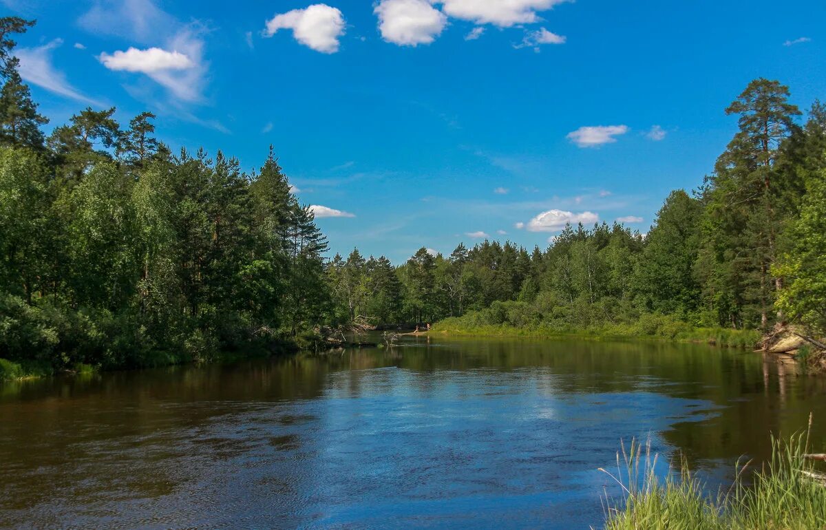 Заповедник мещера