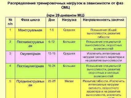 Цикл развивающих занятий