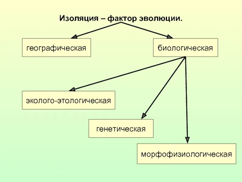 Факторы изоляции в биологии. Изоляция эволюционный фактор. Изоляция как фактор эволюции. Изоляция это фактор эволюции который. Элементарные эволюционные факторы изоляция