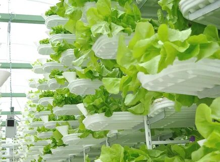 Производство чистой продукции