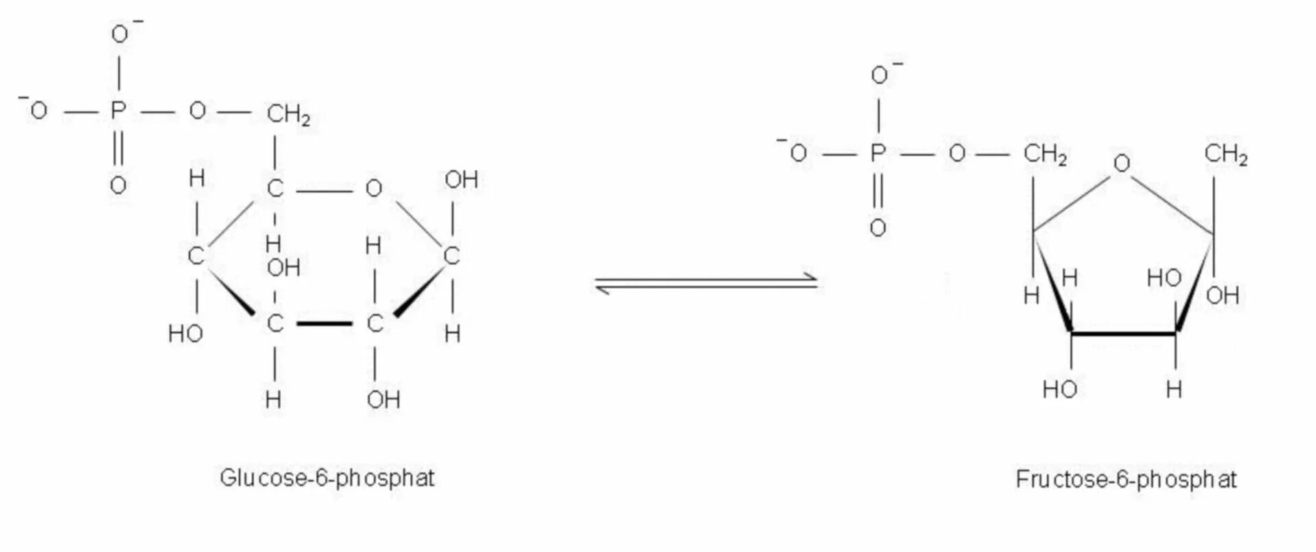 Fructose-6-phosphate. Glucose 6-phosphate to glucose. Fructose-1-phosphate формула. Trixylyl phosphate. Фруктоза селиванова