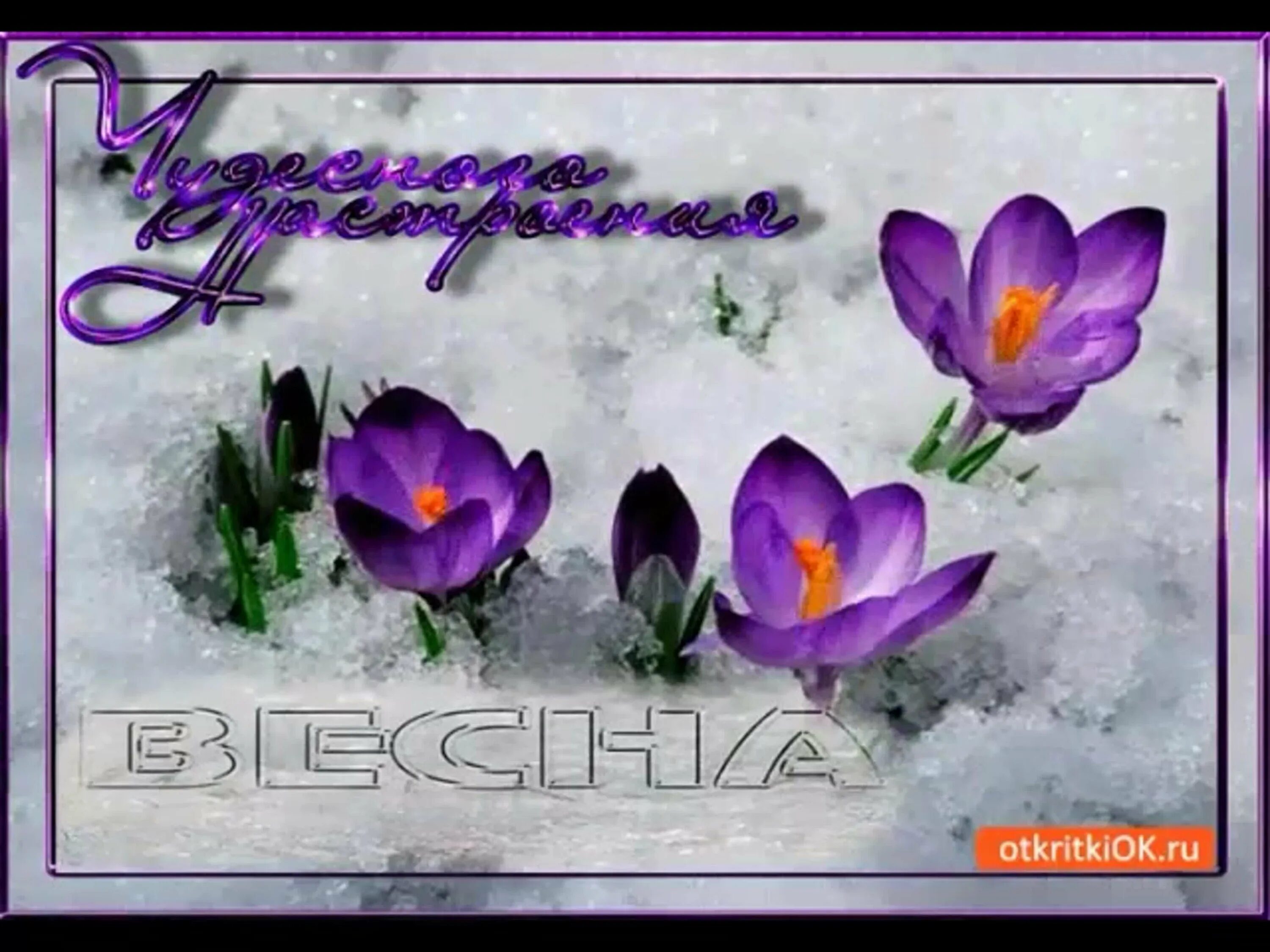 Доброго дня начало весны. Весенний день. доброго весеннего дня. открытки с добрым днём весенние.