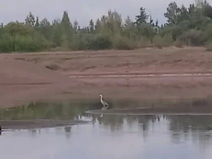 Филейский затон