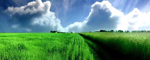 Картинки для группы природа