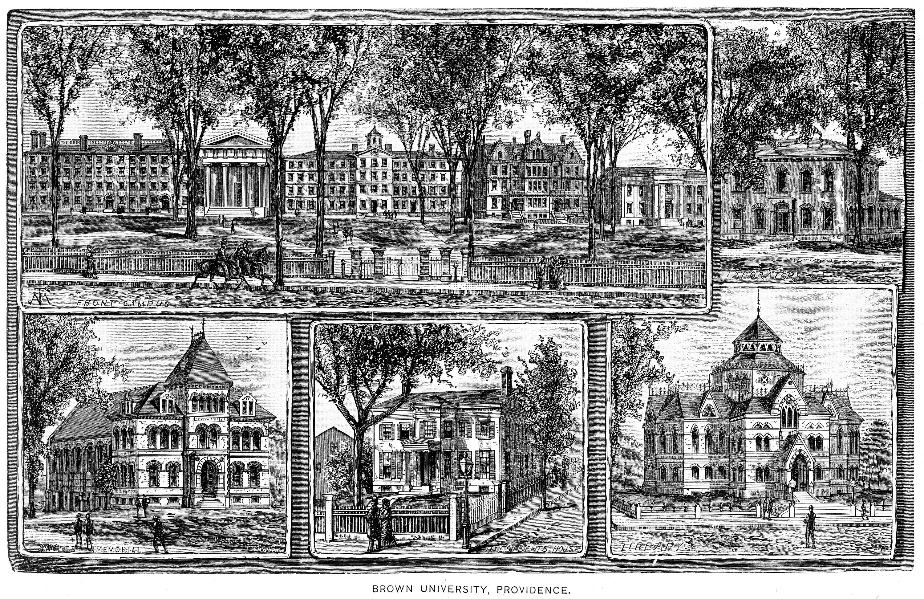 History of the university
