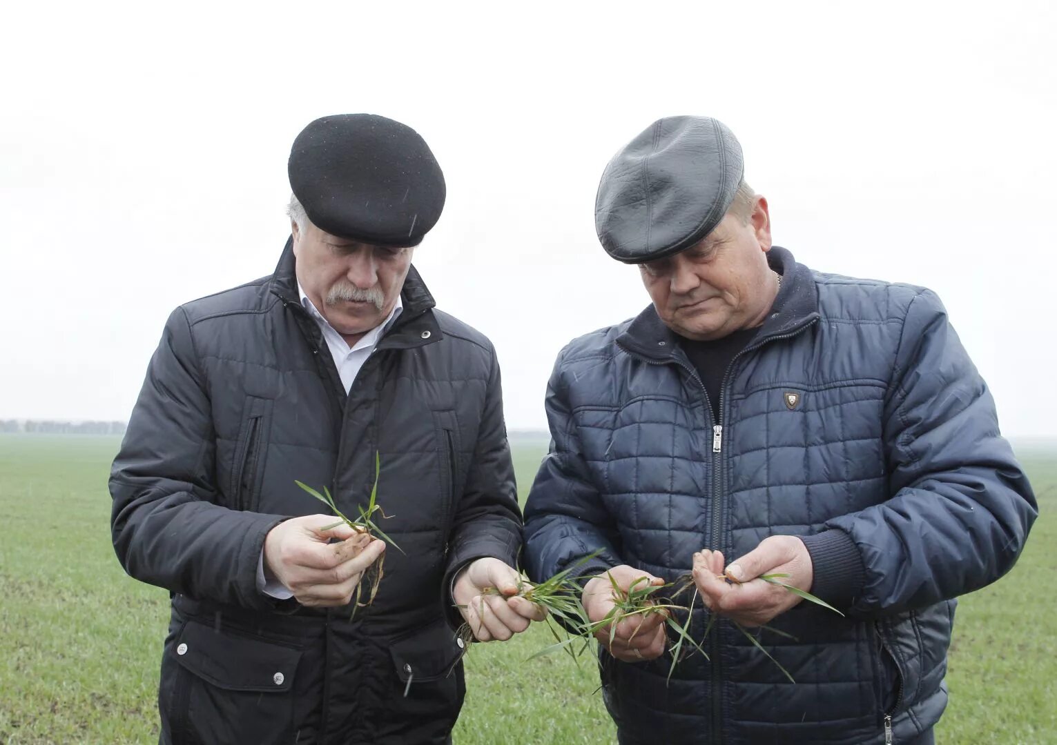 Погода петропавловское арзгирский ставропольский край. Колхоз им Ленина Арзгирский район Ставропольский край. С Серафимовское Арзгирский район Ставропольский край. Колхоз Ставропольский край Арзгирский район село Петропавловское. Новоромановское Арзгирский район Ставропольский край.