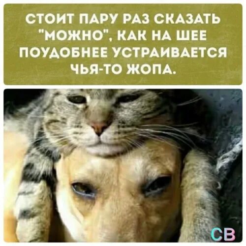 4 раза говоришь. 4 раза говоришь. Смешные картинки когда проспал на работу. Стишки пирожки веселые. Сколько раз я тебе говорила что ты зануда.