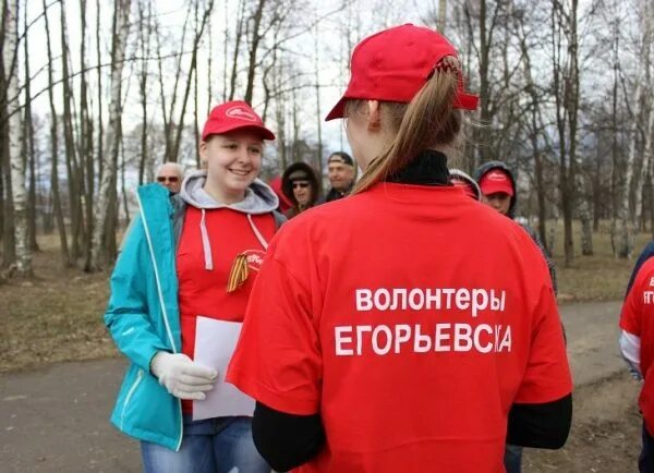 Футболка волонтера. Волонтёры Московской области. Футболка волонтёры Подмосковья. Волонтеры Подмосковья фото. Волонтеры Подмосковья волонтеры Подмосковья.