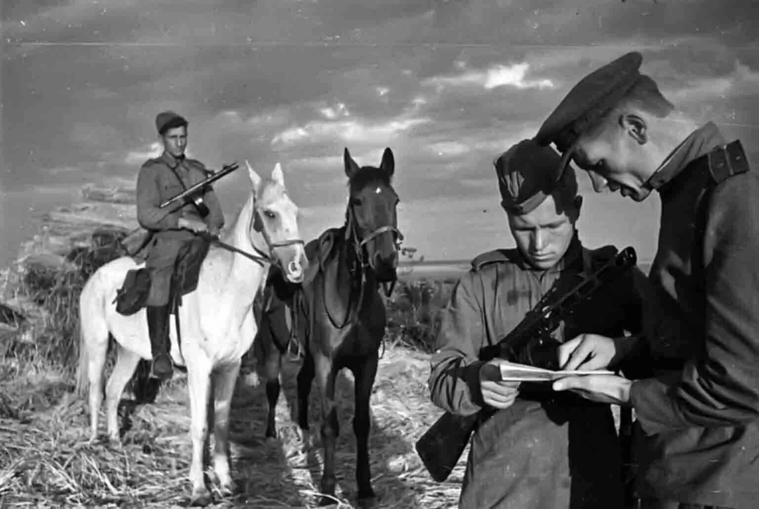 Лошади во время войны. Советская кавалерия в Великой Отечественной войне. Лошади в ВОВ 1941-1945 гг. Лошади в годы Великой Отечественной войны. Конная кавалерия на войне 1941-1945.
