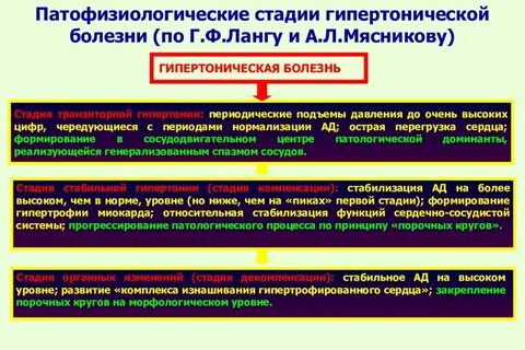 Функциональная стадия гипертонической болезни