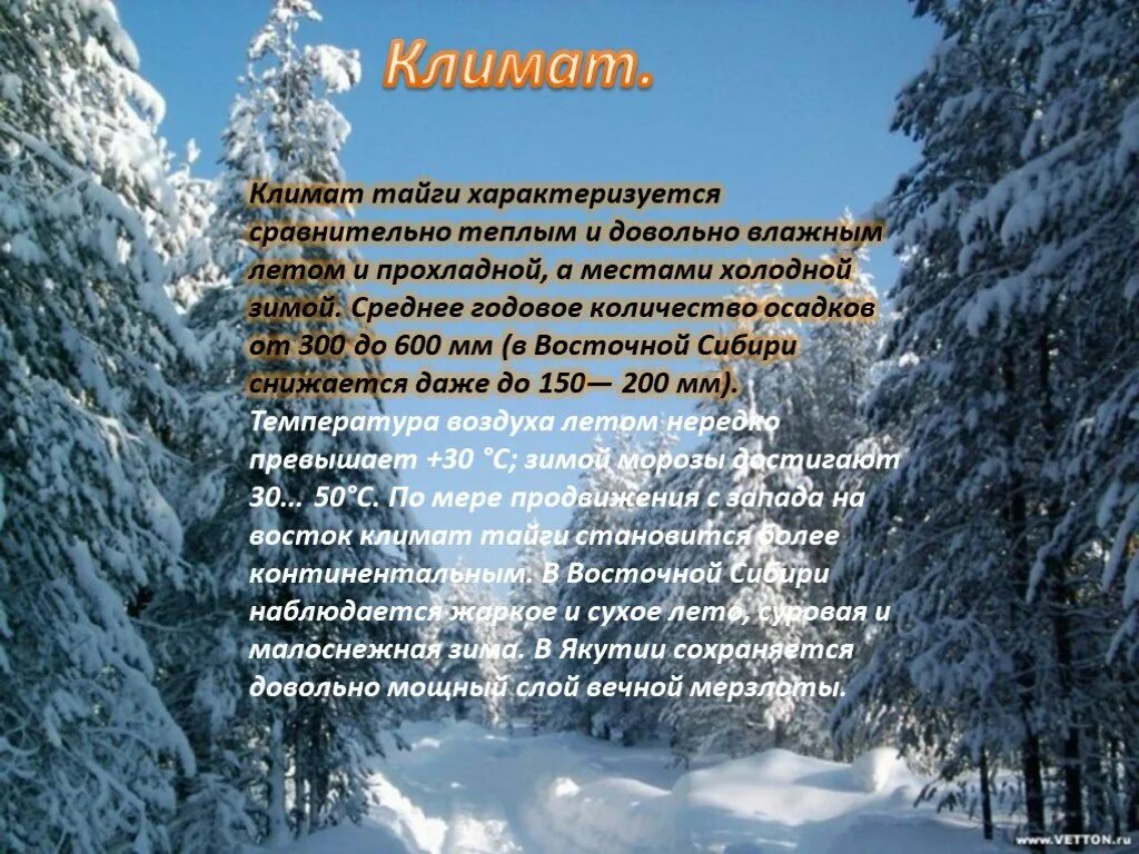 Годовое количество осадков в тайге. Климат тайги. Климат тайги осадки. Климат в тайге 5 класс. Жаркое сухое лето и прохладная влажная зима