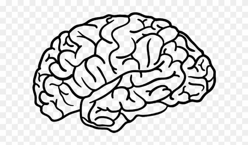 Brain name. Мозг рисунок. Мозг рисунок карандашом для детей. Мозг человека чб.