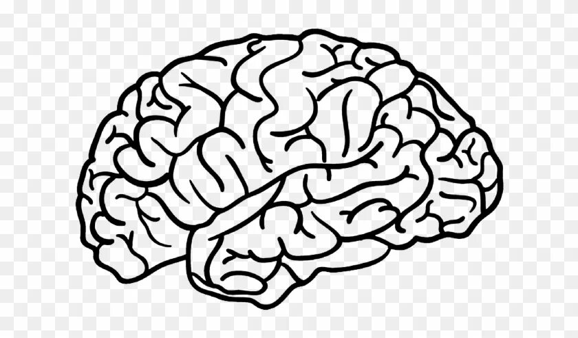 Brain name