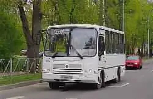 525 автобус гатчина. 535 автобус гатчина.