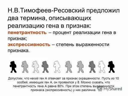 Пенетрантность шизофрении