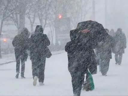 Мчс погодные условия