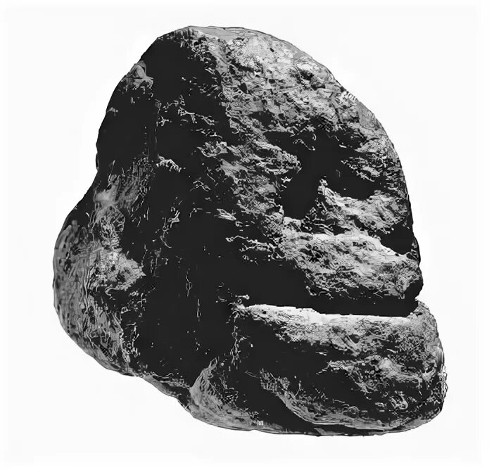 Германий голова. Пампау. Prehistoric Human Museum.
