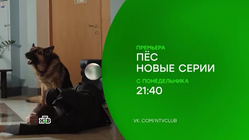 Псу 2 уровень. Псу 2 уровень