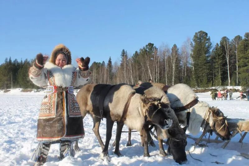 Казым ХМАО. День оленевода в Казыме ХМАО. День оленевода Казым 2022. Слет оленеводов Русскинская.