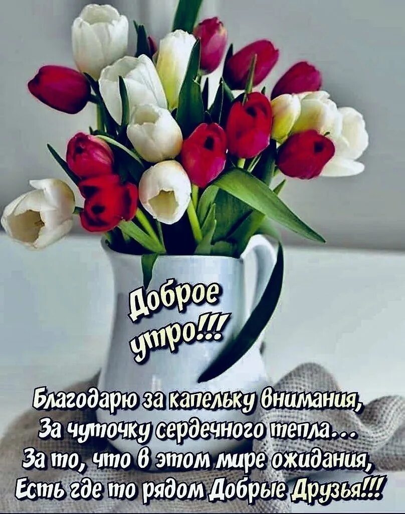 Желаю с утра здоровья и добра. С днём рождения тюльпаны. Доброе утро здоровья и счастья. Доброе утро удачи и здоровья. Красивый букет тюльпанов с днем рождения.