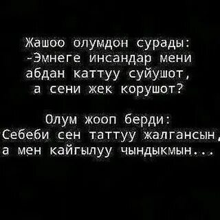 Жашоо бир