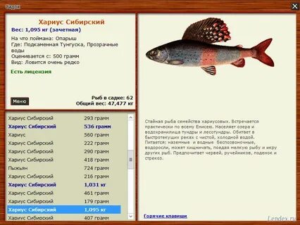 Поймает какое время