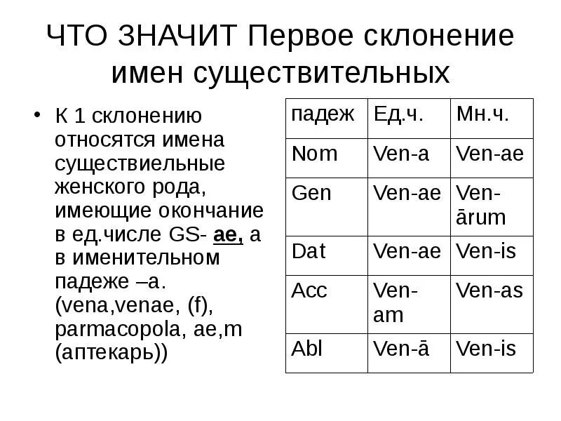 Слово латынь склонение. 1 Склонение существительных в латинском. 1 Склонение в латинском языке. Латинский имена существительные 1 склонения. 3 Склонения имен существительных.