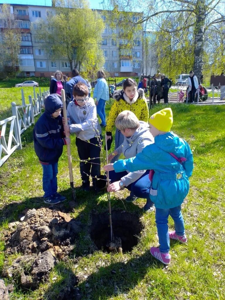 Работа на кубяке калуга. Яблоневый сад калуга кубяка. сад памяти на кубяка калуга. сквер комбата авдеева калуга. сквер кубяка.