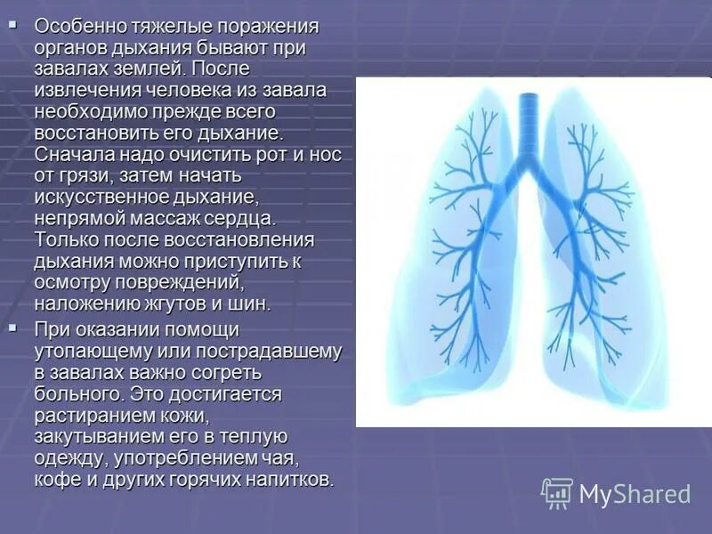 Функциональные возможности дыхательной системы. Болезни и травмы органов дыхания. Профилактика травм органов дыхания. Заболевания органов дыхания конспект. Дыхание с помощью легких впервые появляется у